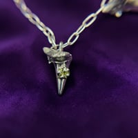 Image 1 of Shark Fossil Pendant