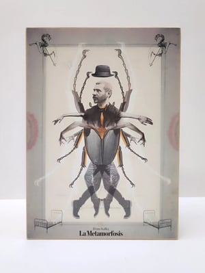 Image of La Metamorfosis, Franz kafka