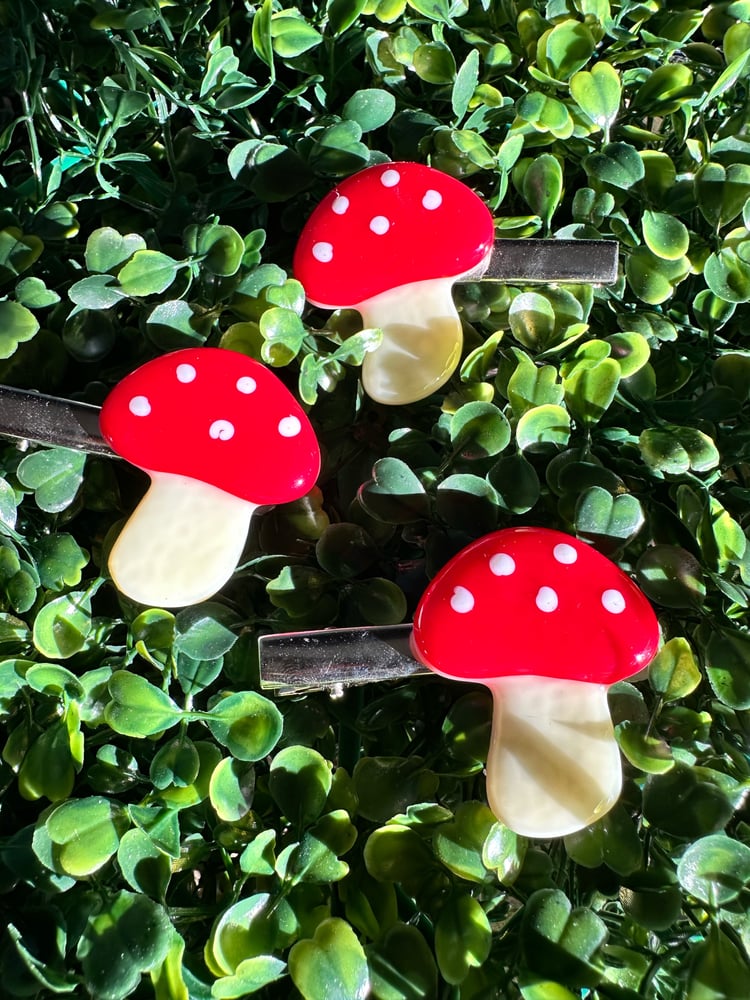Image of mushroom clip