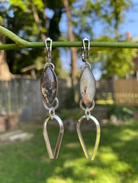 Image 4 of Agate Earrings