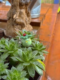 Image 4 of Lady bug & friends 