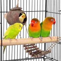 Image 6 of Wooden Hanging Hideout