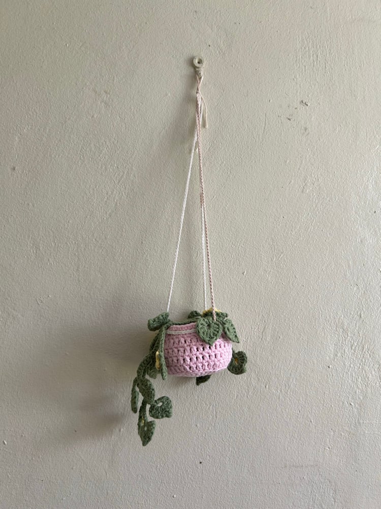 Image of ✧Hanging Primrose Plant