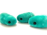 Image 2 of Emotional Support Bug: Teal