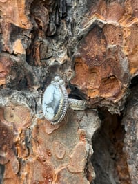 Image 4 of Timber + Snow Ring