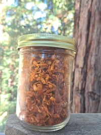 Freeze Dried Soy Scallion Noodles