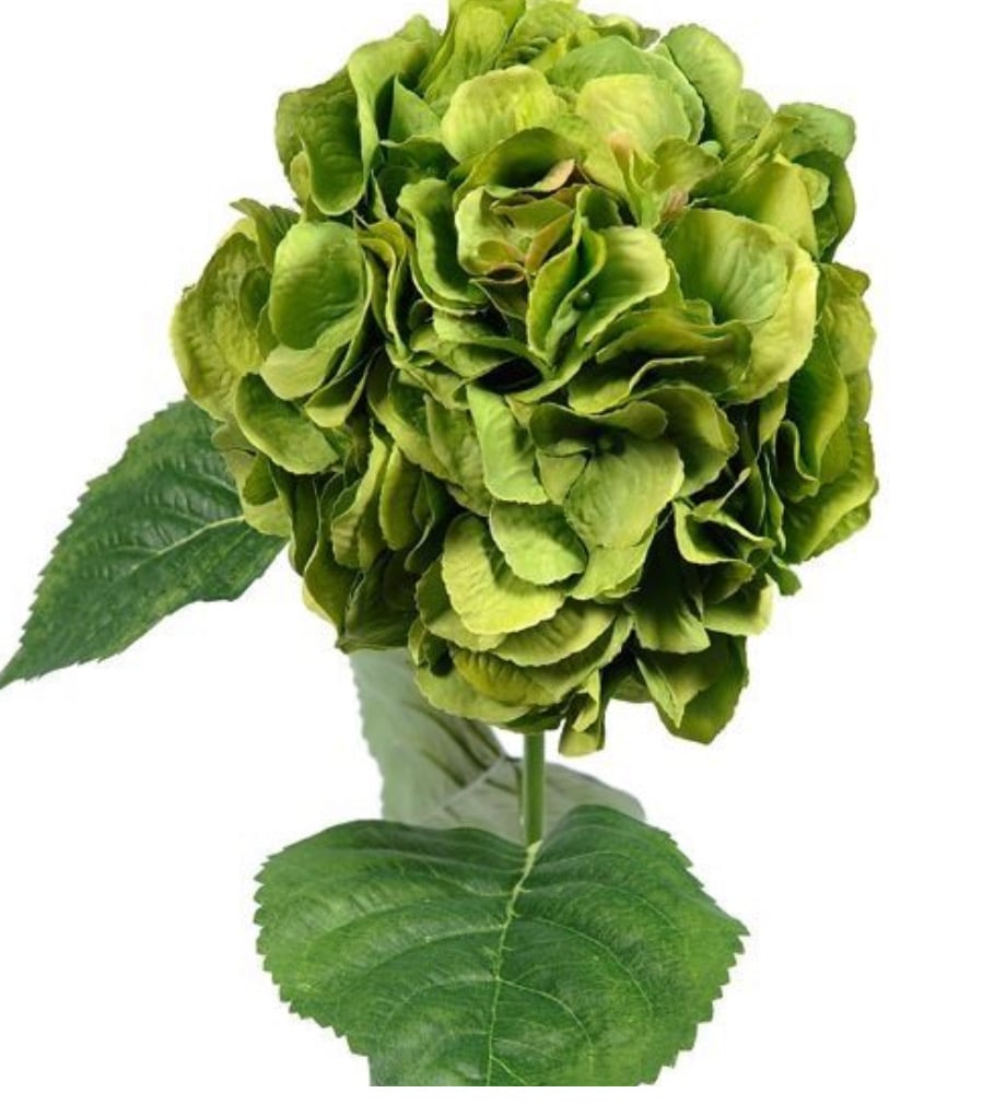 Image of Hydrangea bundle (with or without vase). 