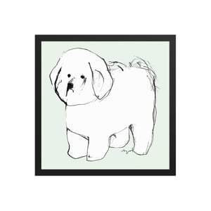 Image of BICHON FRISE