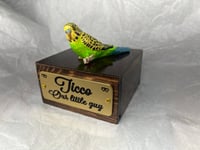 Image 8 of Custom Engraved Budgie Parakeet Handpainted To Your Photos Bird Mini Keepsake Urn Pet Portrait