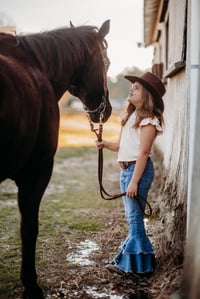 Image 2 of Christmas at the Barn Minis Dec 14 Booking Fee copy