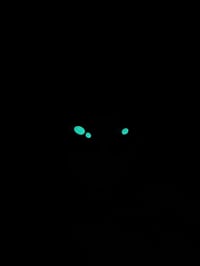 Image 4 of 👽 HOODED AL WOODCUT 7 👽