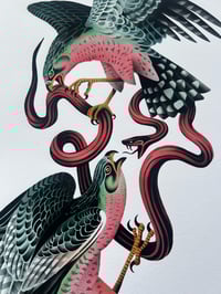 Image 3 of Falcons and Snake