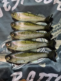 Image 2 of Roma Trout - Rainbow Trout