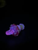 Amanita Muscaria Pendant (UV) cherry 