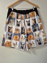 Kylie Jane pyjama shorts-photo cats