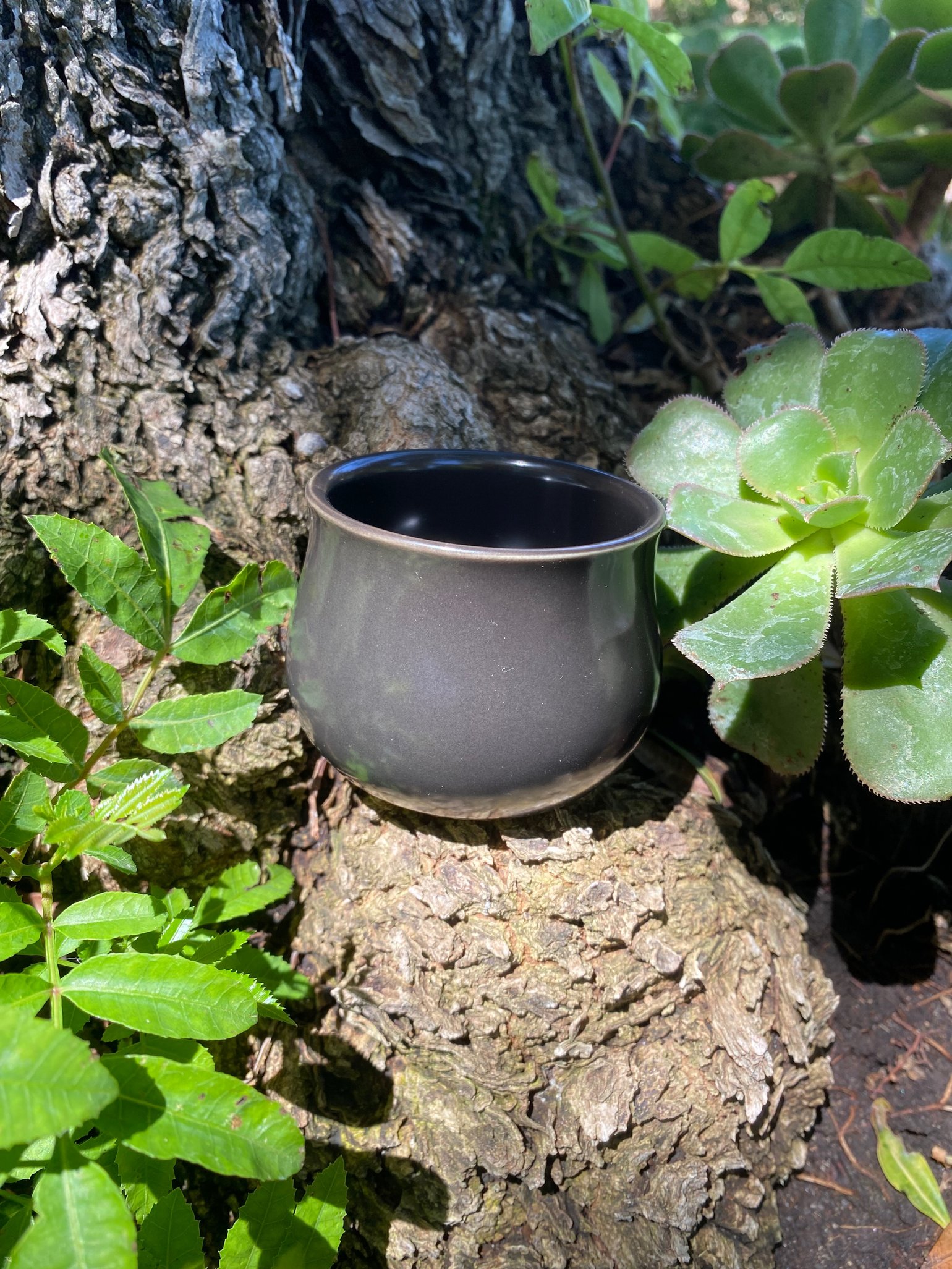Image of Black Curvy Pot