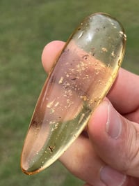 Image 1 of Copal Amber With Preserved Insects #2629