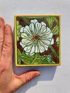 White Zinnia 
