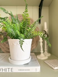 Image 3 of Simple Potted Greenery ( 3 Styles )