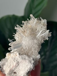 Image 4 of COLOMBIAN NEEDLE QUARTZ D
