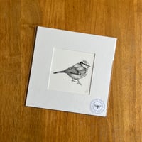 Blue Tit Giclee Print