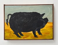 Big black prize pig
