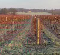 Image 1 of Winter Ready