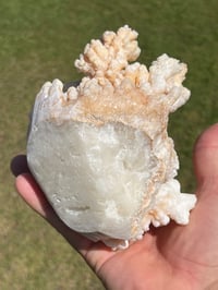 Image 9 of Calcite Crystal Cluster Reef Formation Specimen #1235