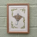 Image 1 of £50 originals - Spotted ray watercolour