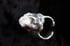 Dead Good human tooth ring Image 11