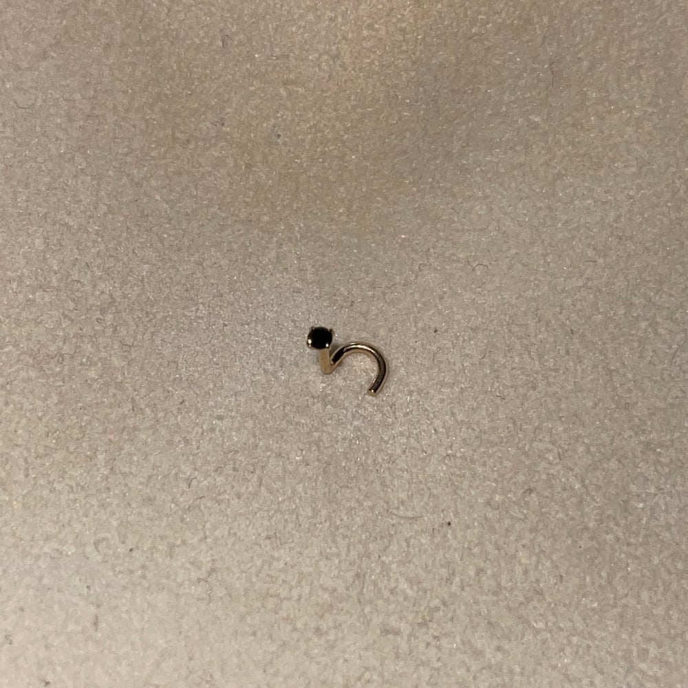 Image of 14k gold black nose screw in stud 