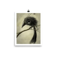 Image 3 of Sir Frumpet Print