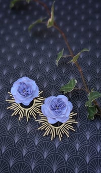 Image 4 of Centifolias Cabbage Roses 