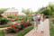 Image of Biltmore- Fall 2025