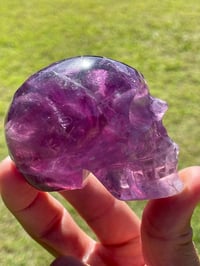 Image 14 of Purple Fluorite Crystal Skull #1884