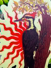 Image 2 of Pileated Woodpecker Sticker