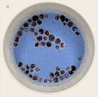 Image 1 of Goat Milk Drinks 