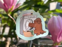 Image 1 of Laundry Sticker