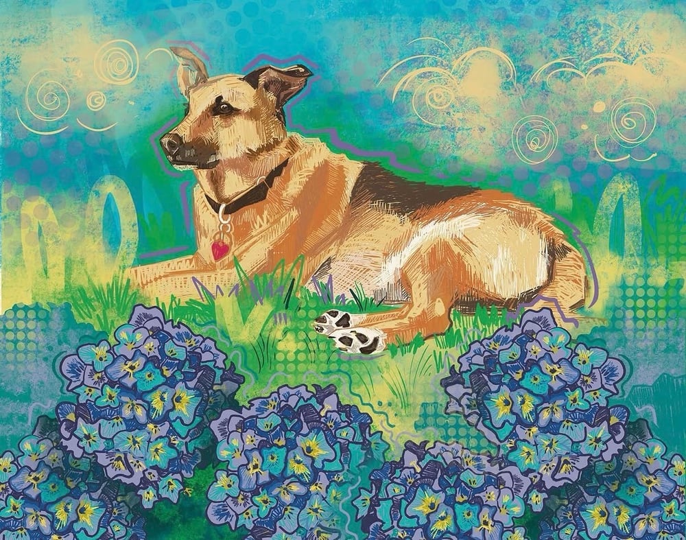 Image of Digital pet portrait 