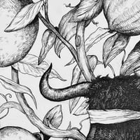 Image 2 of Lemon Labyrinth (original)