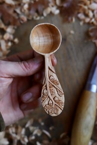 Image 5 of Oak Tree- Coffee Scoop