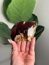 Image 1 of SELF STANDING HALF POLISHED SUMATRAN AMBER FREEFORM -INDONESIA- **UV REACTIVE** A