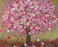 Image 2 of “Sweet little cherry tree”
