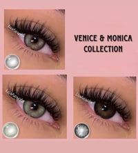 Image 1 of Venice & Monica collection 14.20/14.50