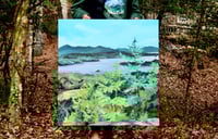 Image 2 of Picked Chicken Hill, ME