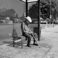 Image 8 of Jason Lee - TX | CA 17