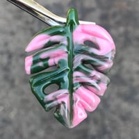 Image 1 of  Pink Variegated Monstera Leaf