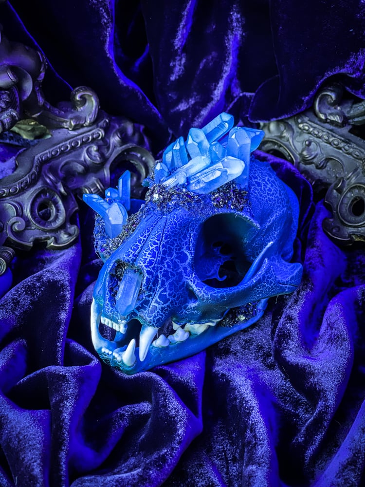 Image of UV Luminescent, Blue Aura Quartz & Carborundum - Bobcat Skull.