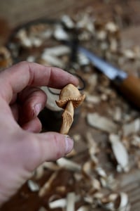 Image 4 of Cherry Wood mushroom 