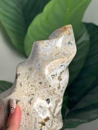 Image 5 of ORBICULAR SEA JASPER FLAME -MADAGASCAR-